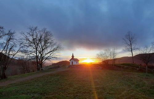 plain-pied proche base de loisirs et voie verte - Foto 34