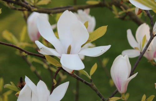 Villa An Der Au - Foto 38