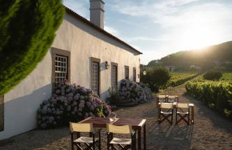 Morgadio da Calcada Douro Wine&Tourism - Photo 7