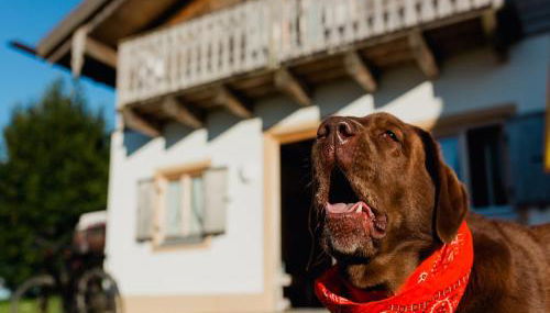 Ferienhaus im Landhausstil im Vital Camp Bayerbach - Foto 2