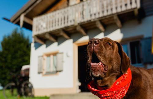 Ferienhaus im Landhausstil im Vital Camp Bayerbach - Foto 2