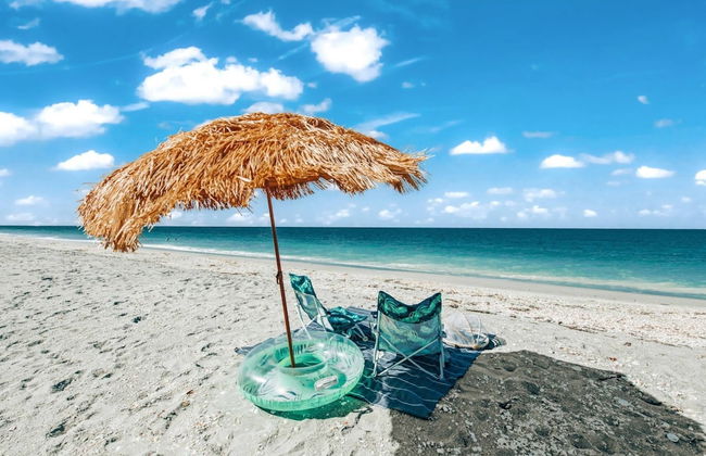 Pelican Gardens 7 By Lido Beach - Foto 45