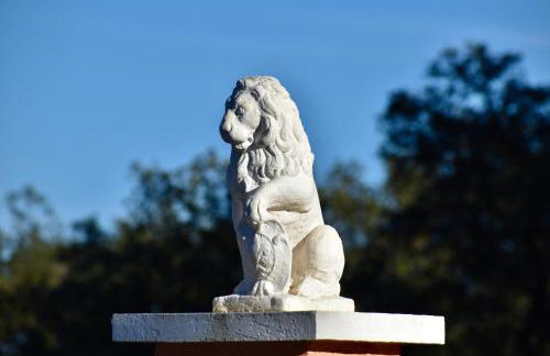 La Casa Celestial - Foto 64