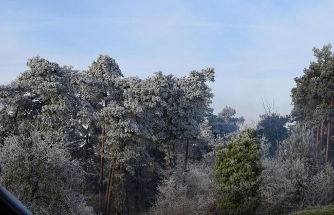 Restyled Holiday Home, on a Holiday Park at 20 km. From Nordhorn - Foto 31
