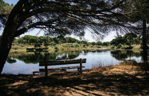 Herdade de Montalvo - Comporta - Photo 20