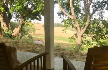 Agriturismo - Apis in tabula - Foto 27