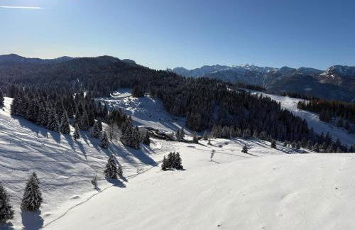 Maso K - Il Gufo Dorato - Foto 49