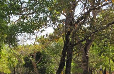 Hotel Fazenda Arara Azul - Foto 21