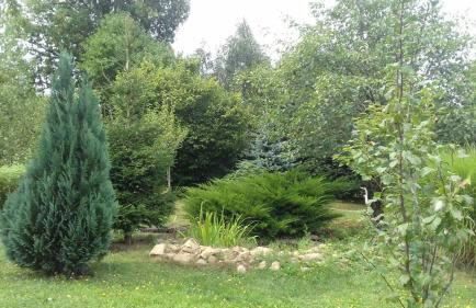 Planinska kuća Dasović - Foto 18