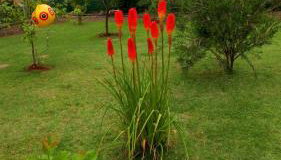 Apartments Duras - Photo 2