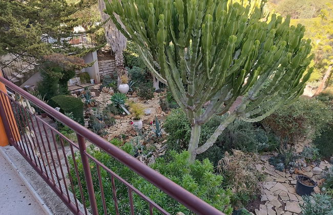 Rantzo Holiday Apartments - Foto 41