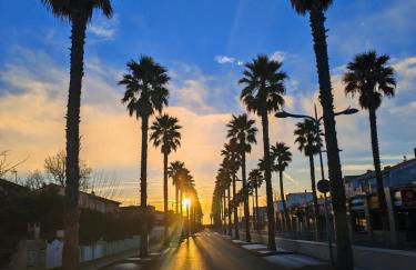 La Dolce Vita - Foto 1