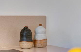 Aplotis home - Foto 22