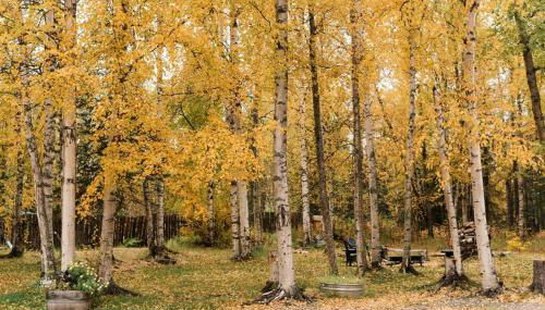 Beautiful Alaskan Log Cabin on Wooded Lot - Foto 2