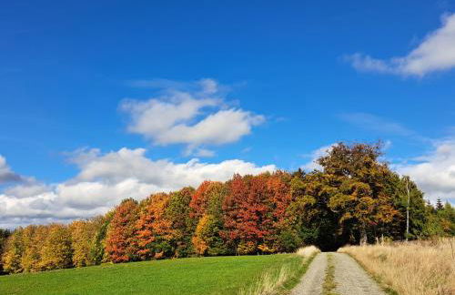 Steewer Landhaus gemütliche Ferienwohnung bis 6 Pers in ruhiger Ortsrandlage - Foto 65