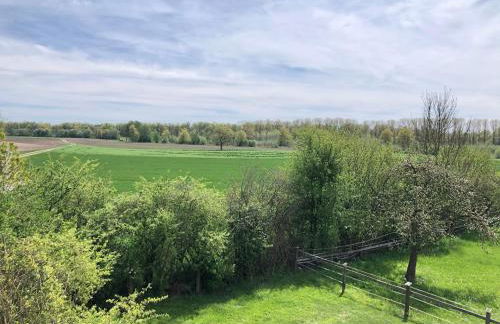 Ferienwohnungen Hackerhof - Foto 19