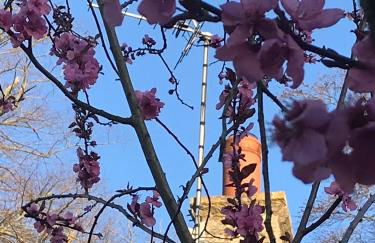 Dove Cottage - Foto 69