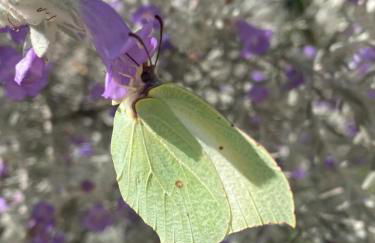 La Locanda Del Tevere - Foto 56