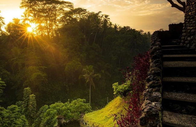 Villa Cella Bella - Photo 35