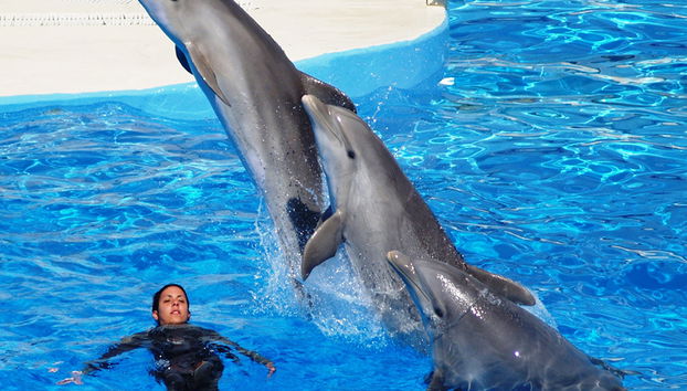 Aquopolis Costa Daurada - Entrada - Foto 5