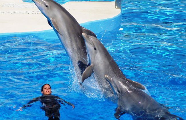 Aquopolis Costa Daurada - Entrada - Foto 5