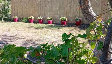 Lithos stone house (Ionio holidays) - Foto 5