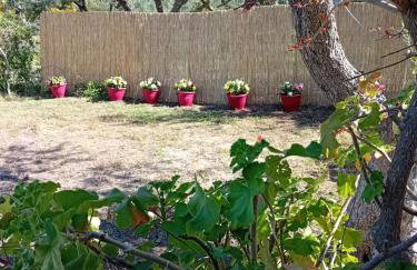 Lithos stone house (Ionio holidays) - Foto 5