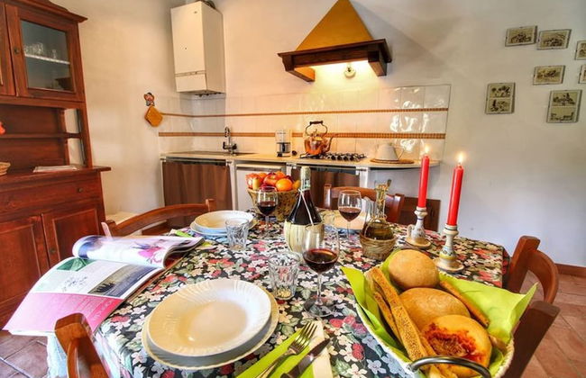 Bellavista farm of Quercini Maurizio - Foto 38