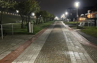 Haus Juist-Norddeich - Foto 37