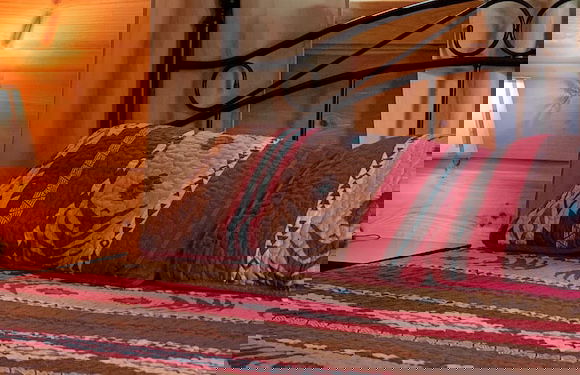 Elk Springs Resort - Foto 60