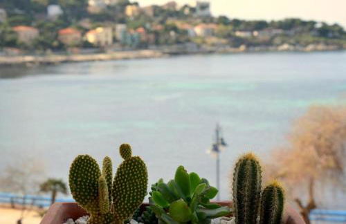 Mare Holidays - Foto 43