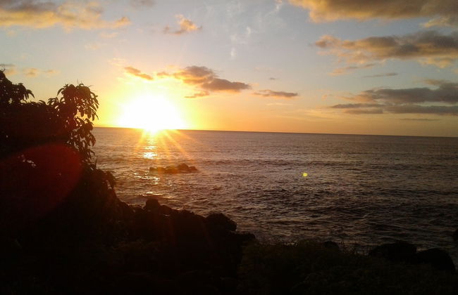 Sunny Private First Floor 1-br Beach Apartment With Spacious Balcony, Pool, Wifi - Photo 22