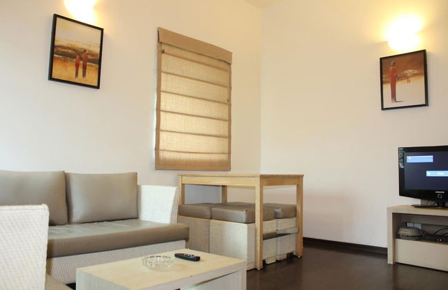 AMC Comforts at Brigade Homestead - Photo 31