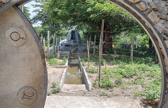 Backpackers Temple - Foto 25