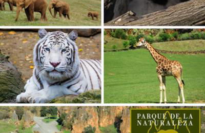 Apartamento La Gloria - Foto 28