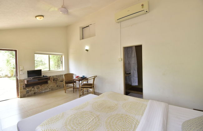 The Lighthouse - Photo 20