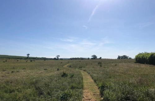 Stunning Renovation edge of Frome + country views - Photo 56