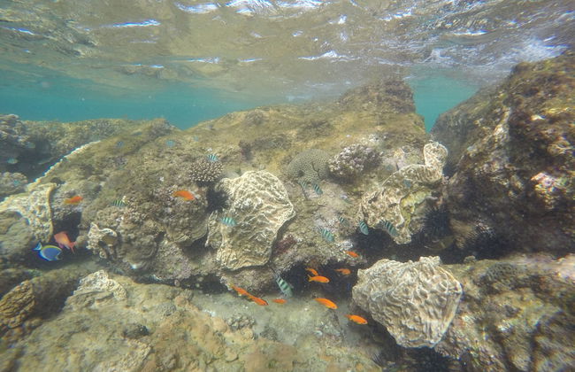 Khumbula iMozambique - Foto 14