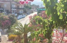 Βίλα Πασιθέα - Photo 24