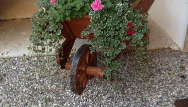 Farmstay Alloggio Cort di Branc - Foto 3
