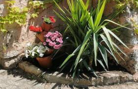 La petite maison dans les nuages - Foto 5