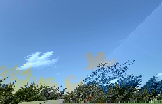 Gardan Bungalov Çatalca - Foto 14