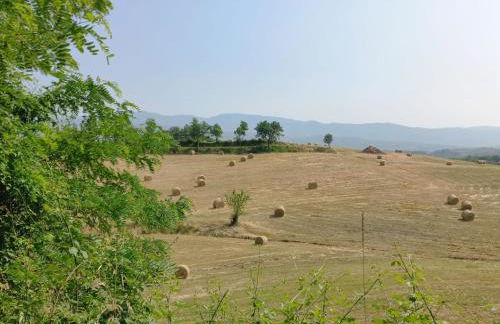 Agriturismo a casa di Toni - Photo 6