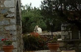 Charouda Stone Tower - Foto 21