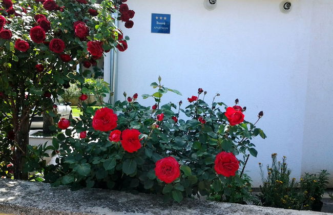 Apartments Cerin - Foto 34