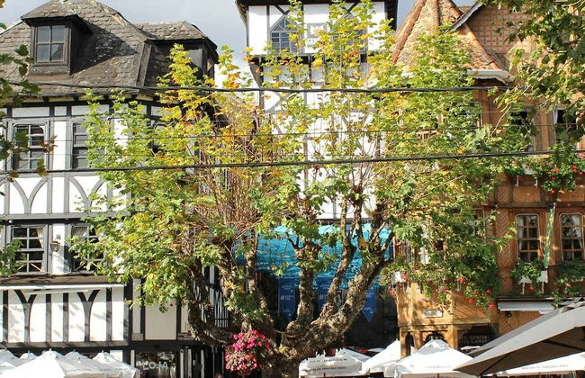 Campos do Jordão Private Tours - Photo 6