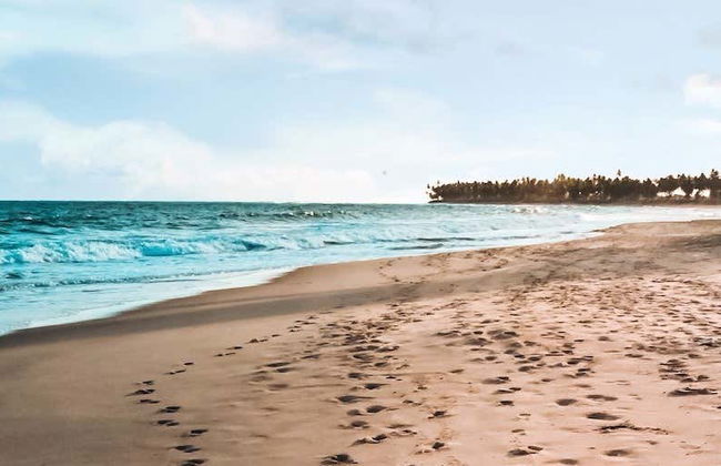 Excursion à la plage du Forte - Photo 1