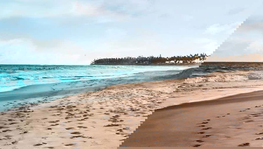 Praia do Forte Excursion