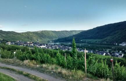 Weingut Sauer-Kettermann - Foto 8