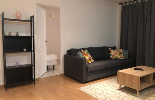 T2 lumineux vue sur Cher, 8mn Gare & centre - Photo 15